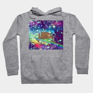 Fat Sloth Meet Flat Sloth - Rainbow Space Hoodie